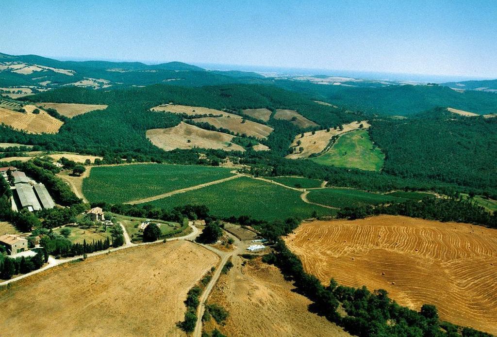 Fattoria Poggio Foco Villa Manciano Ngoại thất bức ảnh