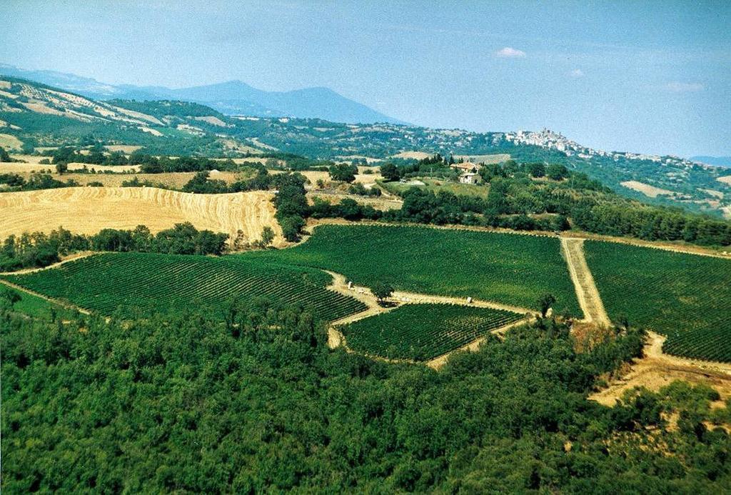 Fattoria Poggio Foco Villa Manciano Ngoại thất bức ảnh